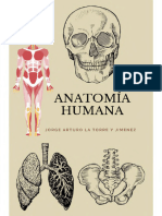 Anatomia Archivos Complementarios