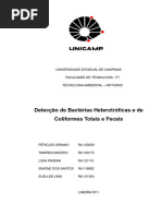 Relatório - Detecção de Bacterias Heteortroficas e de Coliformes Fecais