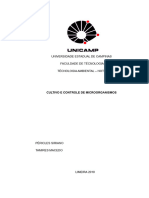 Relatorio de Cultivo e Controle de Microrganismos