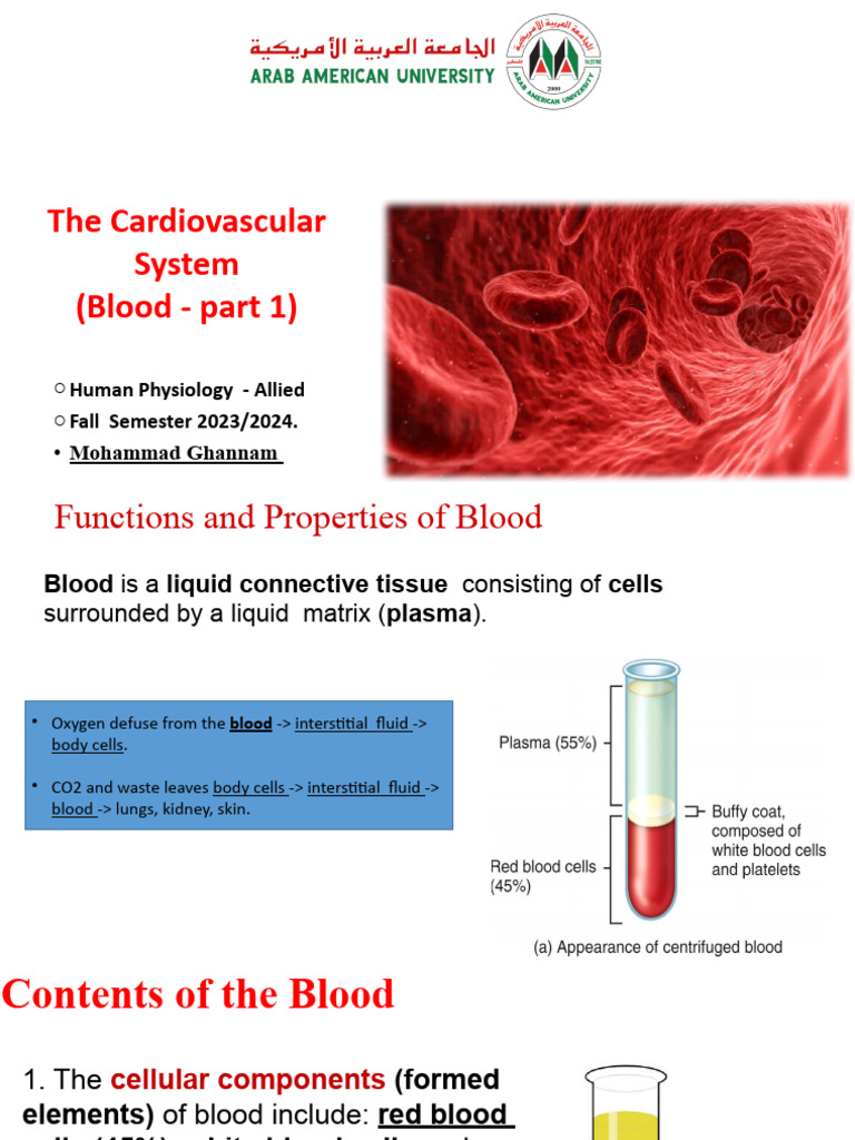 Blood Part 1 Pdf White Blood Cell Blood Cell