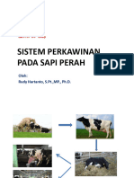 01 Sistem Perkawinan