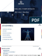 Anatomia Del Cuerpo Humano San Lucasss