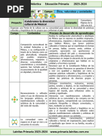SUR-RON  Storm Bee