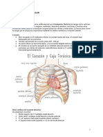 Unidad 8 Anatomía