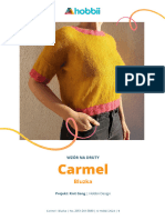 Carmel T Shirt PL