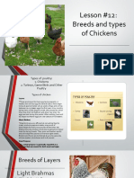 Breeds and Types of Poultry
