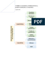 Cuadro Sinoptico Sobre El Analisis de La Informacion en La Investigacion Cuantitativa y Cualitativa