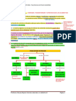 FUNCIÓN DE  NUTRICIÓN (APUNTE)