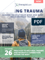 Trauma Recovery Guide