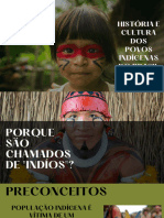 História e Cultura Dos Povos Indígenas Do Brasil Afrocentrica Decolonial