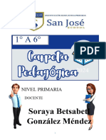 Modelo de Carpeta Pedagógica - No Tutores - Primaria