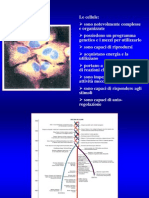 Lezione 1 (24-10-2011)