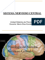 Presentación Sistema Nervioso Central. 2