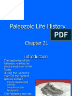 12 Paleozoic Life History STD