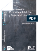 Medina Ariza - Políticas y Estrategias de Prevención Del Delito y Seguridad Ciudadana - Edisofer (2011)