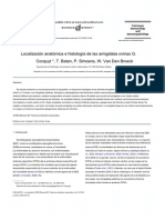 Tonsilas en Un Ovino 11 PDF
