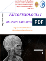 PSICOFISIOLOGÍA I_SISTEMA NERVIOSO_ORGANIZACIÓN_PARTE II