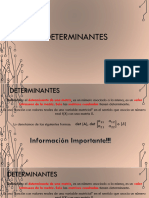 3 Determinantes 2024 pdf