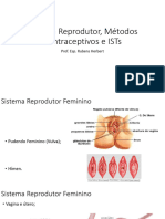 Sistema Reprodutor, Métodos Contraceptivos e IST's e PARASITOSES