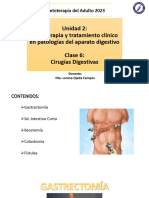 Clase 6 Cirugías Digestivas (Primera Parte)