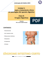 Clase 8 Cirugías Digestivas (Segunda Parte)