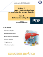 Clase 8 Enfermedades Hepáticas