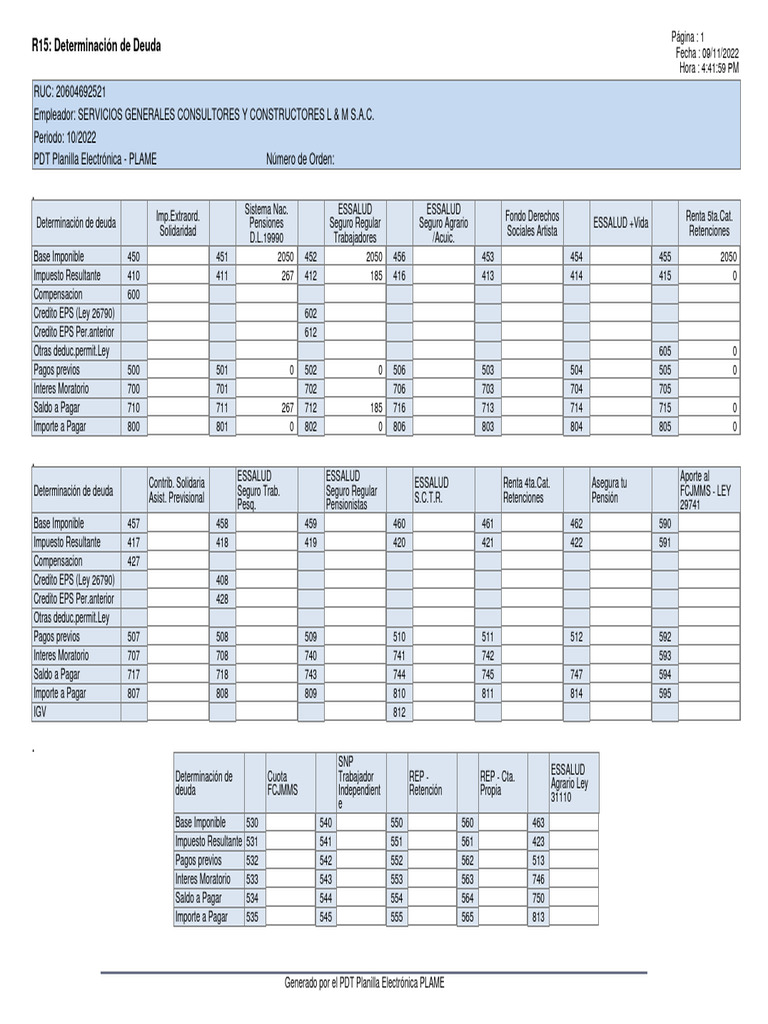 Deuda R15: Informe PLAME 10/2022 | PDF