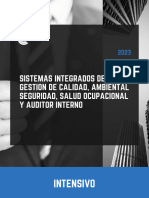 Brochure Sistemas Integrados de Gestión INTENSIVO