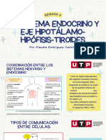 el sistema endocrino y eje Hipotálamo-hipófisis-tiroides