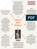 Teorías de Los Derechos Fundamentales