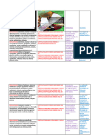 Curriculum SP X Ciencias Humanas e Matematica