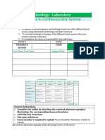 Laboratory Exercise 6 Cardiovascular System