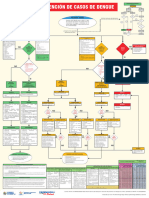 Flujograma Atencion Casos Dengue - A. Burga