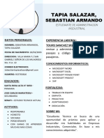 CV Tapia Salazar Sebastian Armando