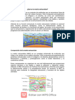 Trabajo de Histologia para Entregar