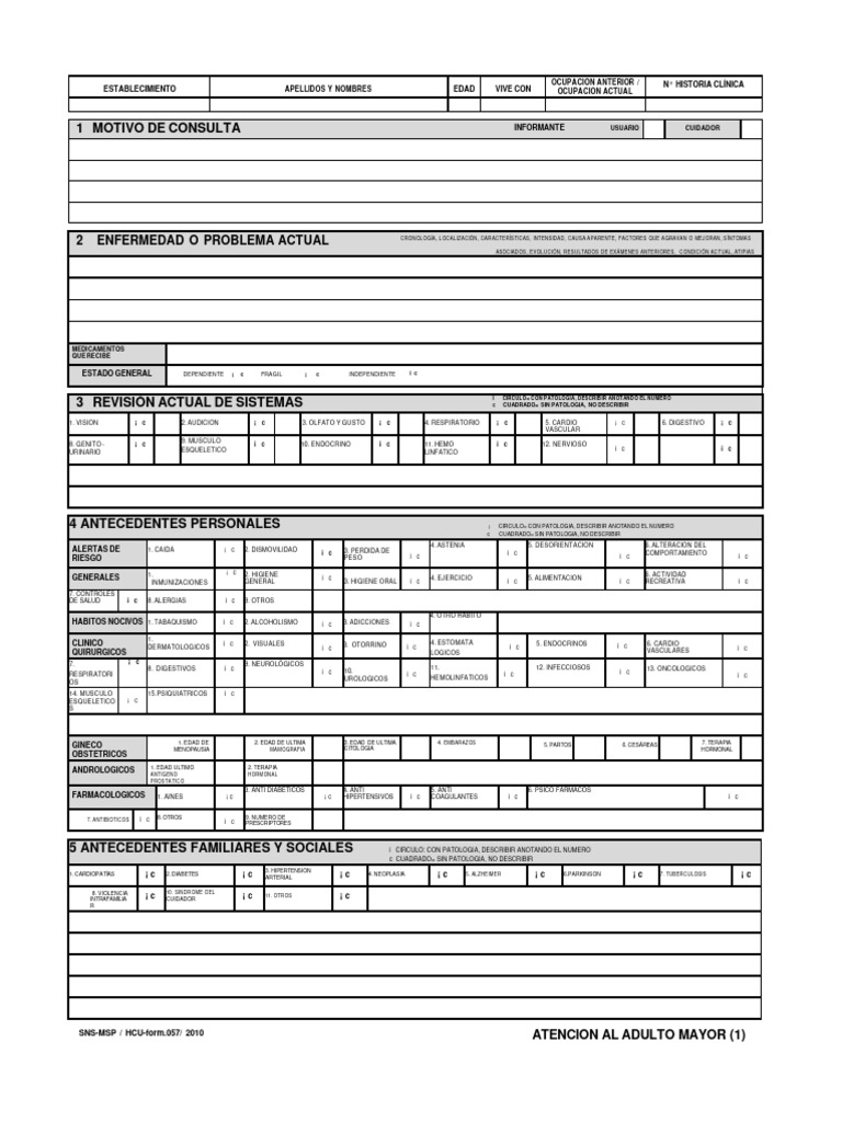 Formulario 057 Atención Adulto Mayor | PDF | Enfermedades y trastornos ...