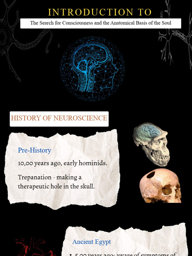 Introduction to neuroscience pdf brain neuroscience