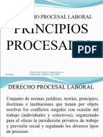 01 Procesal Laboral Principios Procesales