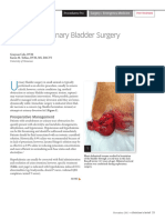 Httpsfmvzenlinea2 7.Fmvz - Unam.mxpluginfile - Php47666mod Resourcecontent0emergency Urinary Bladder Surgery PDF