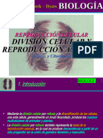 04 División Celular y Reproducción Asexual - Mitosis y Citocinesis