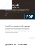 Introduction To Photosynthesis