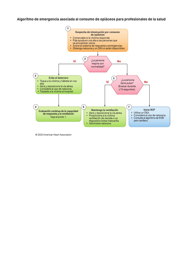 Algorithm-Opioid-HC Provider 200615 | PDF | Reanimación cardiopulmonar ...