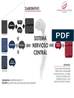 NEURO ENCEFALO