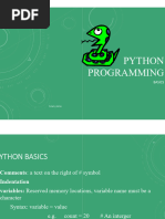 Python Programming Basics