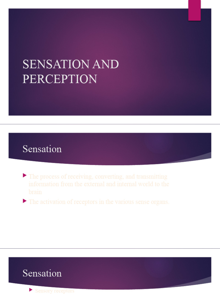 Sensory Adaptation Explained | PDF | Senses | Perception