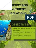 Ecology - Energy and Nutrient Relations - Subaan