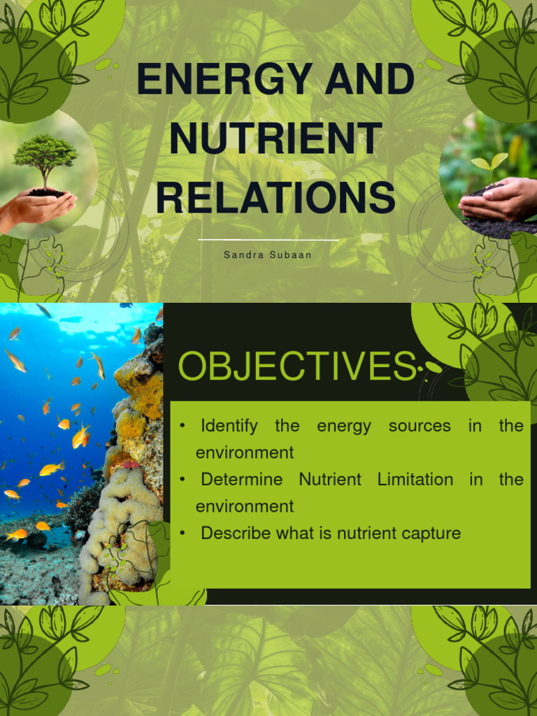 Ecology Energy and Nutrient Relations Subaan Download Free PDF