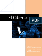 El Cibercrimen