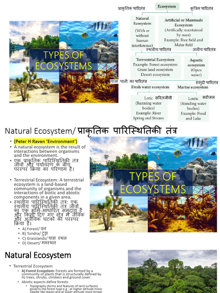 Unit 2 Part 2 | PDF