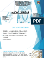 Plexo Lumbar Presentacion Grupo